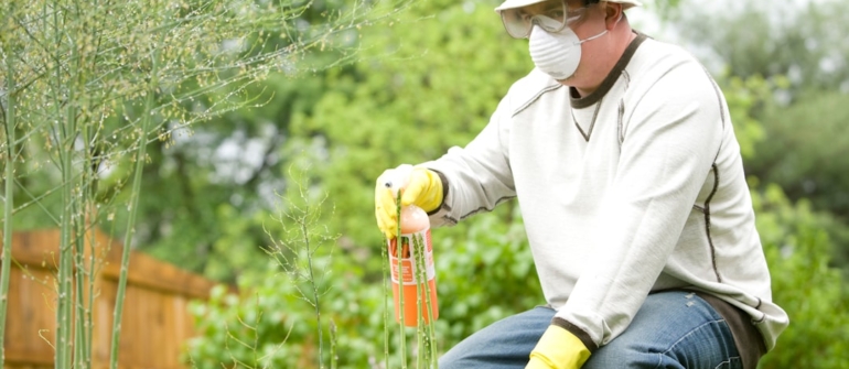 Essential Spring Pest Control Tips for Homeowners